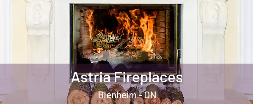  Astria Fireplaces Blenheim - ON