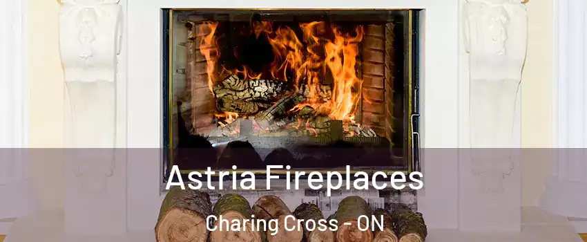  Astria Fireplaces Charing Cross - ON