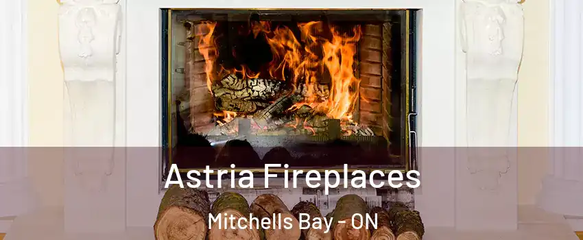  Astria Fireplaces Mitchells Bay - ON