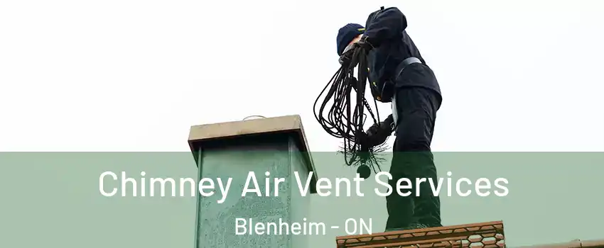  Chimney Air Vent Services Blenheim - ON