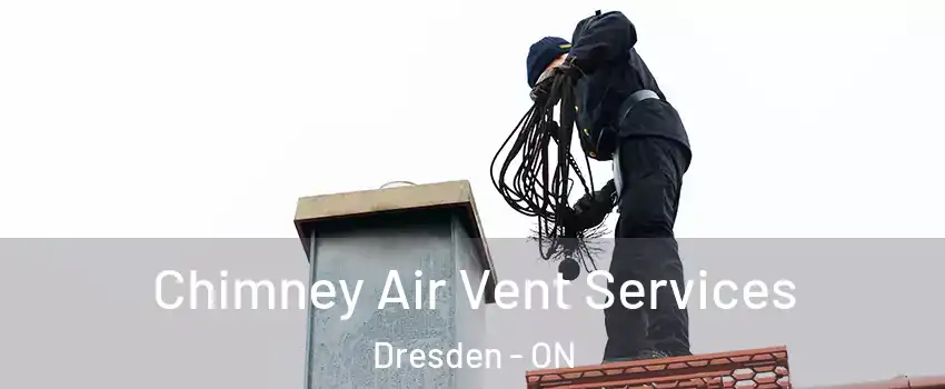  Chimney Air Vent Services Dresden - ON