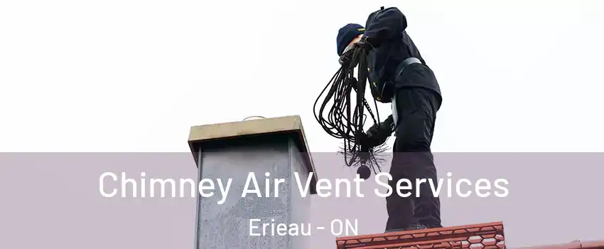  Chimney Air Vent Services Erieau - ON