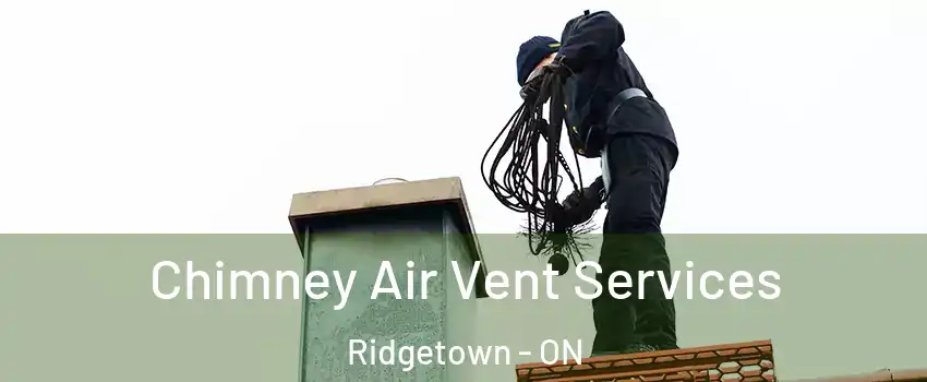  Chimney Air Vent Services Ridgetown - ON