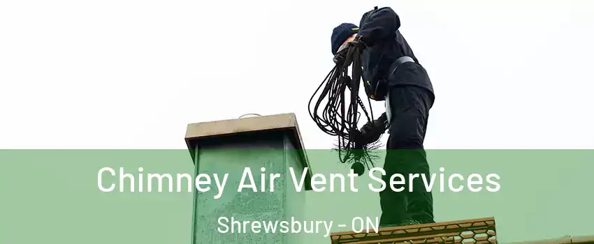  Chimney Air Vent Services Shrewsbury - ON