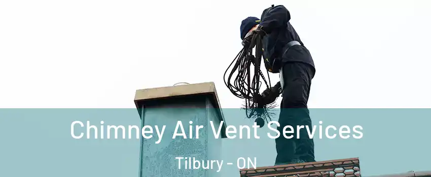  Chimney Air Vent Services Tilbury - ON