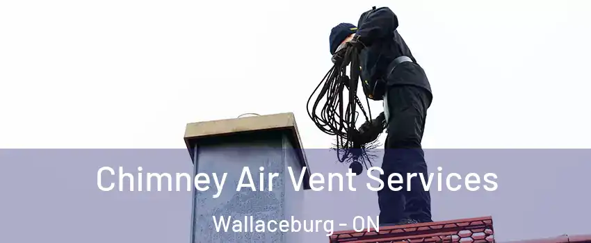  Chimney Air Vent Services Wallaceburg - ON