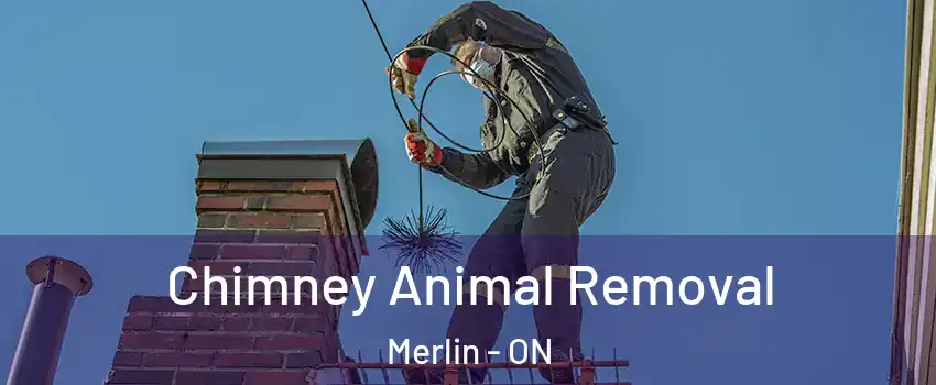 Chimney Animal Removal Merlin - ON