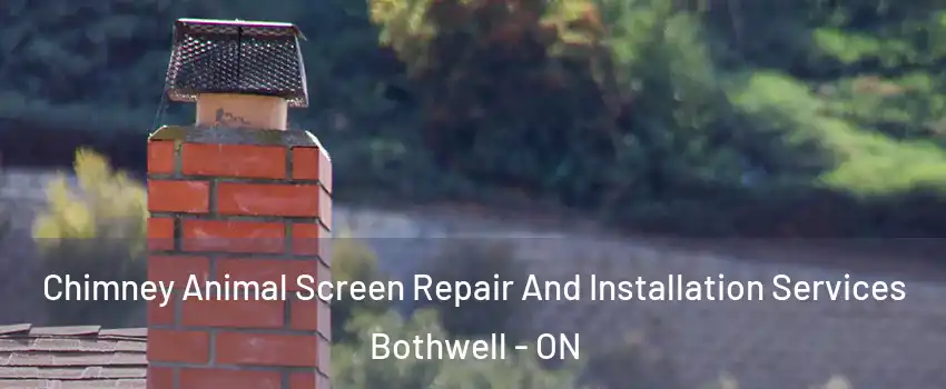  Chimney Animal Screen Repair And Installation Services Bothwell - ON