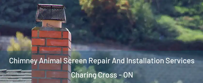  Chimney Animal Screen Repair And Installation Services Charing Cross - ON