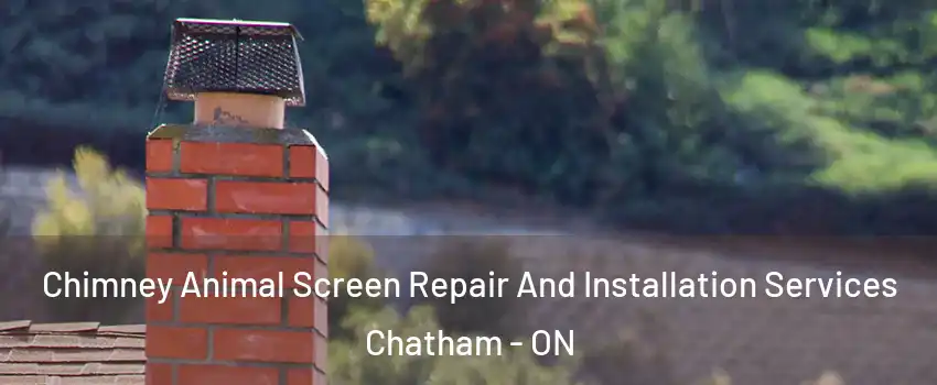  Chimney Animal Screen Repair And Installation Services Chatham - ON
