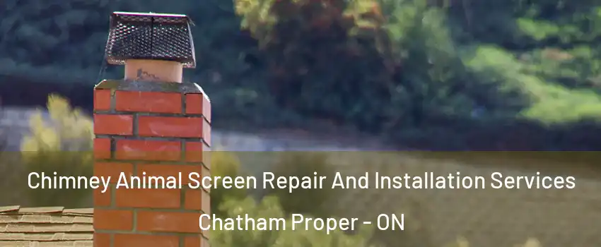 Chimney Animal Screen Repair And Installation Services Chatham Proper - ON