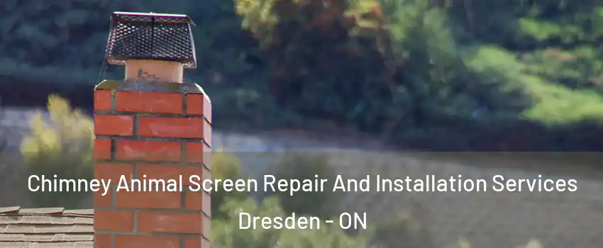  Chimney Animal Screen Repair And Installation Services Dresden - ON