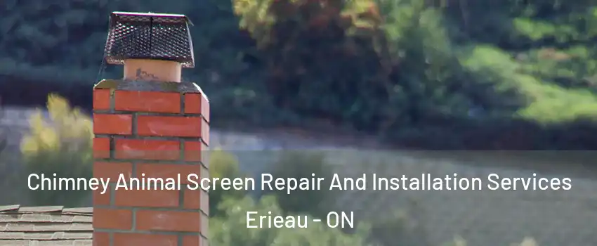  Chimney Animal Screen Repair And Installation Services Erieau - ON