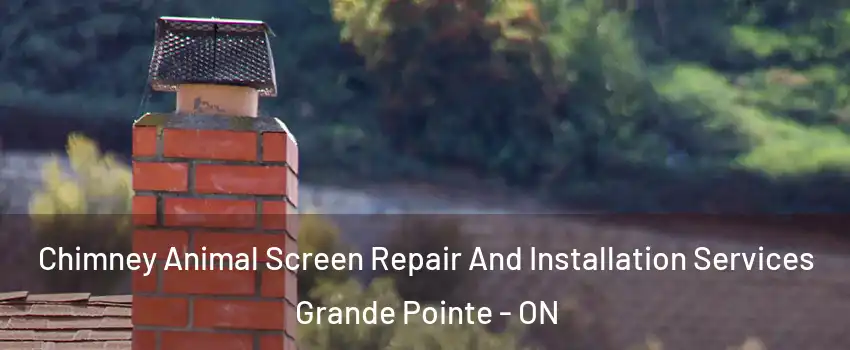  Chimney Animal Screen Repair And Installation Services Grande Pointe - ON