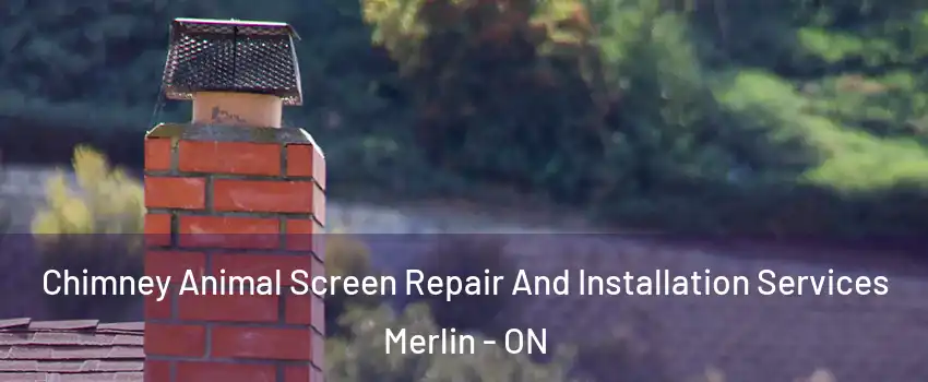 Chimney Animal Screen Repair And Installation Services Merlin - ON
