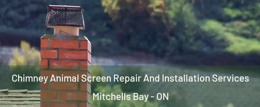  Chimney Animal Screen Repair And Installation Services Mitchells Bay - ON