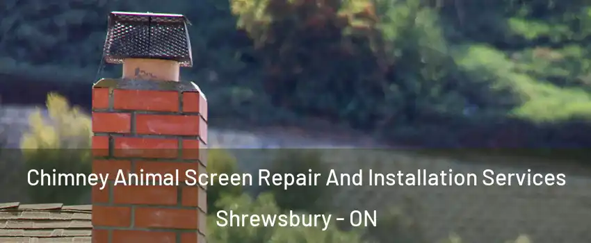 Chimney Animal Screen Repair And Installation Services Shrewsbury - ON