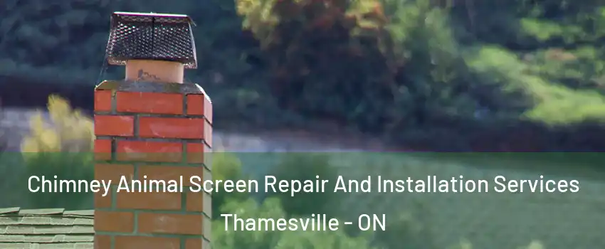  Chimney Animal Screen Repair And Installation Services Thamesville - ON