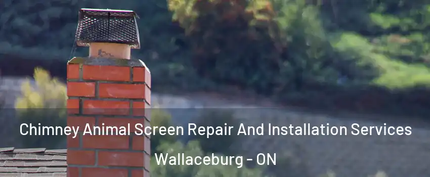  Chimney Animal Screen Repair And Installation Services Wallaceburg - ON