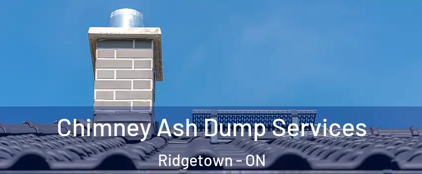  Chimney Ash Dump Services Ridgetown - ON