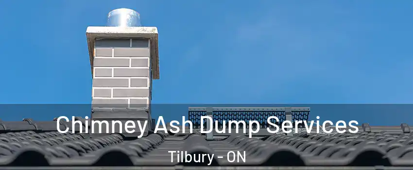  Chimney Ash Dump Services Tilbury - ON