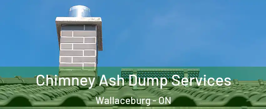  Chimney Ash Dump Services Wallaceburg - ON
