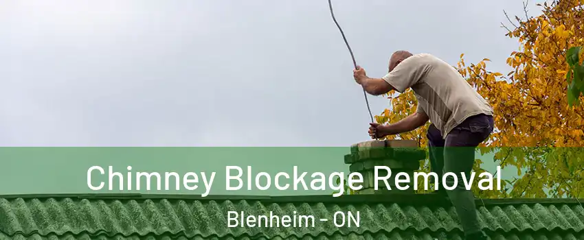  Chimney Blockage Removal Blenheim - ON