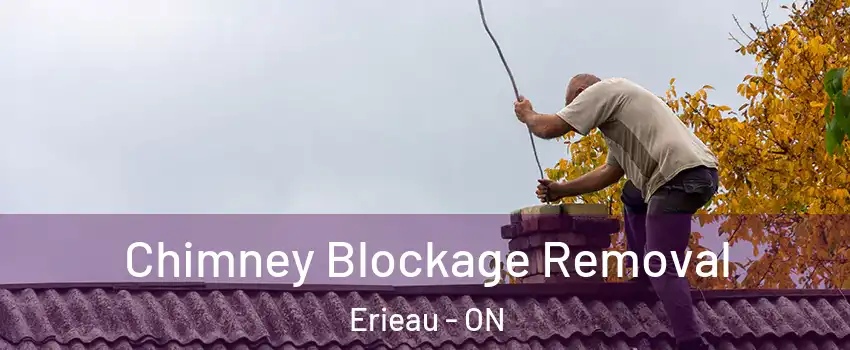  Chimney Blockage Removal Erieau - ON