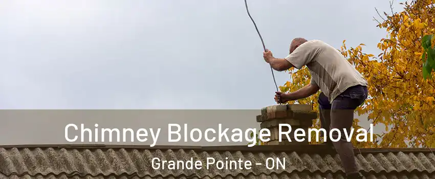 Chimney Blockage Removal Grande Pointe - ON