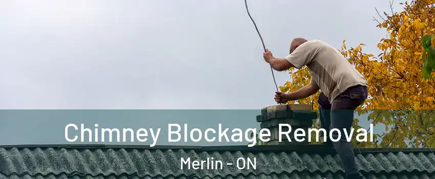  Chimney Blockage Removal Merlin - ON