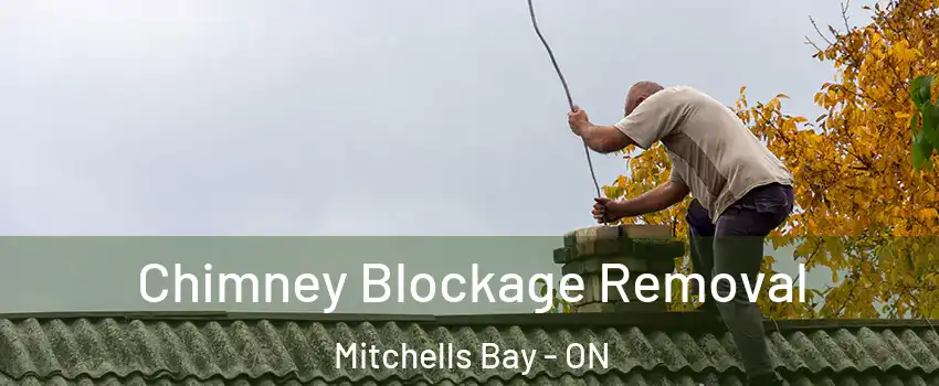  Chimney Blockage Removal Mitchells Bay - ON