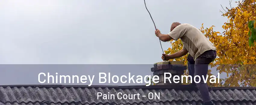  Chimney Blockage Removal Pain Court - ON