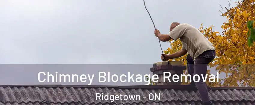  Chimney Blockage Removal Ridgetown - ON