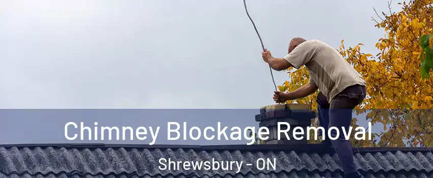 Chimney Blockage Removal Shrewsbury - ON