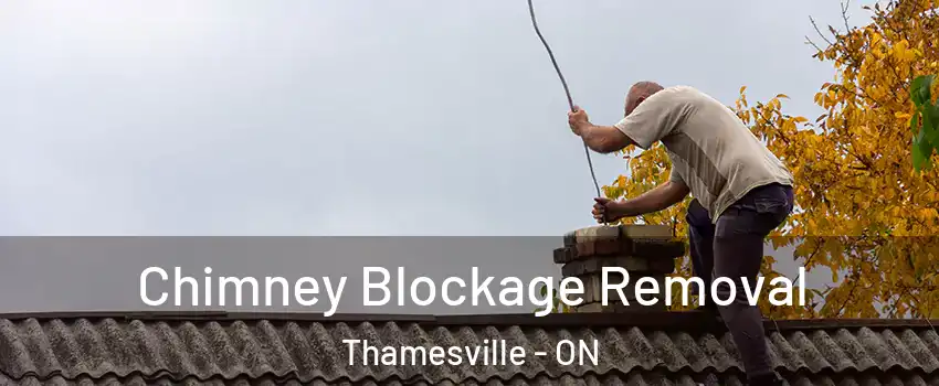  Chimney Blockage Removal Thamesville - ON