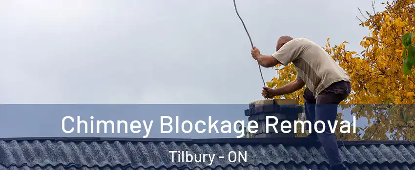  Chimney Blockage Removal Tilbury - ON