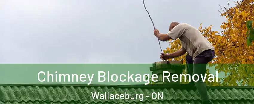  Chimney Blockage Removal Wallaceburg - ON