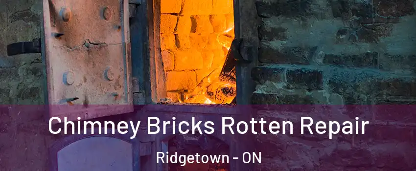 Chimney Bricks Rotten Repair Ridgetown - ON