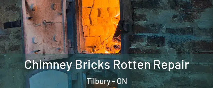  Chimney Bricks Rotten Repair Tilbury - ON