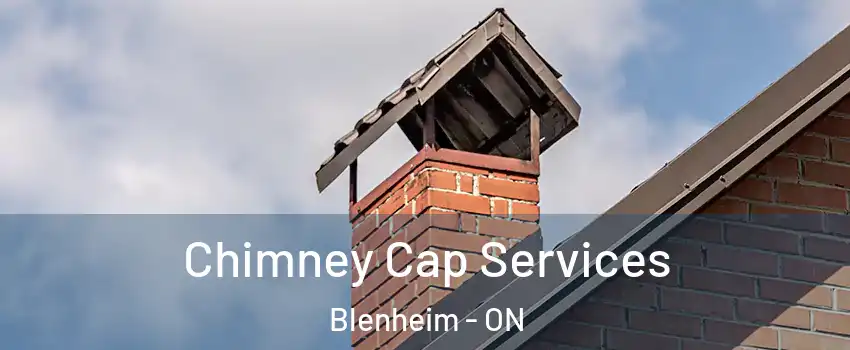  Chimney Cap Services Blenheim - ON