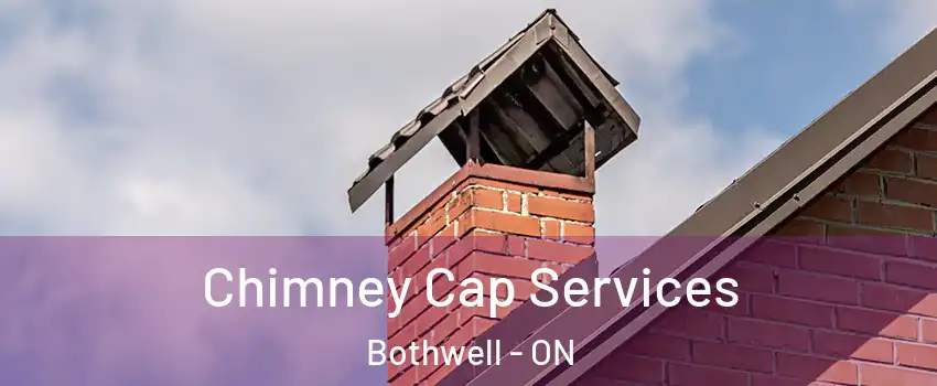  Chimney Cap Services Bothwell - ON