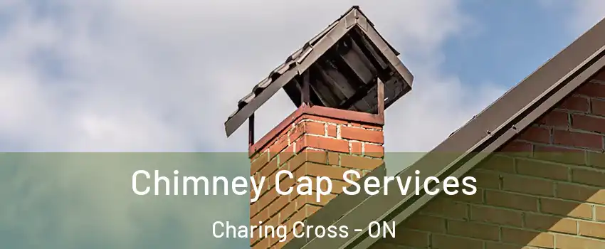  Chimney Cap Services Charing Cross - ON