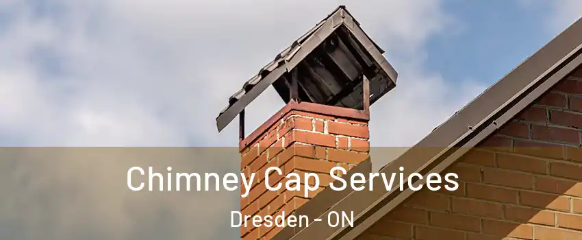  Chimney Cap Services Dresden - ON