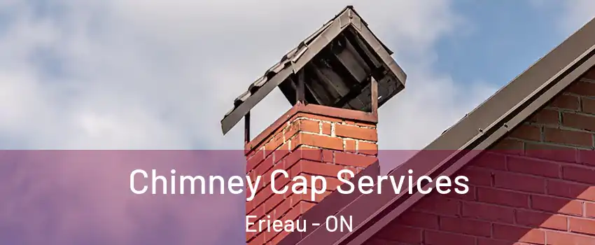  Chimney Cap Services Erieau - ON