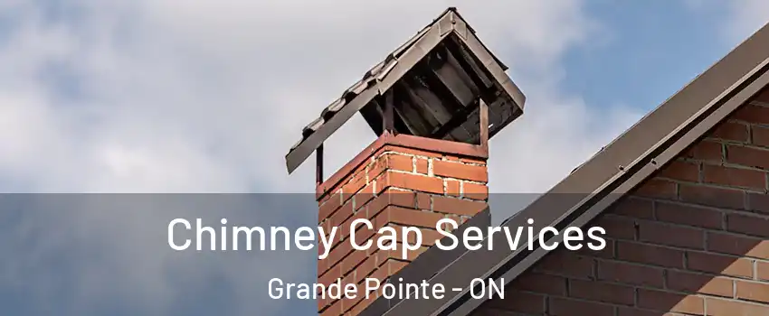  Chimney Cap Services Grande Pointe - ON