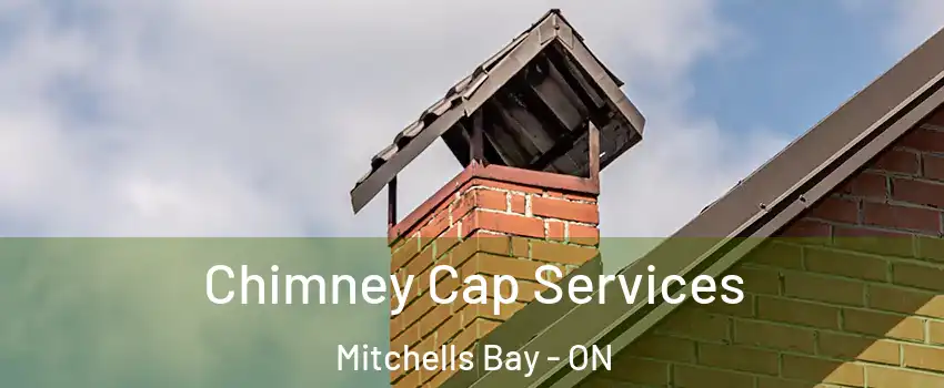  Chimney Cap Services Mitchells Bay - ON