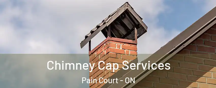  Chimney Cap Services Pain Court - ON