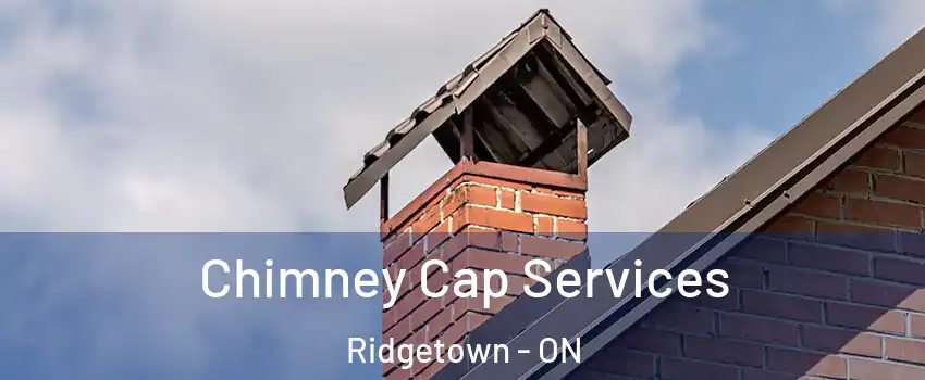  Chimney Cap Services Ridgetown - ON