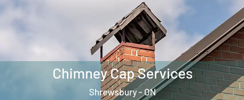  Chimney Cap Services Shrewsbury - ON