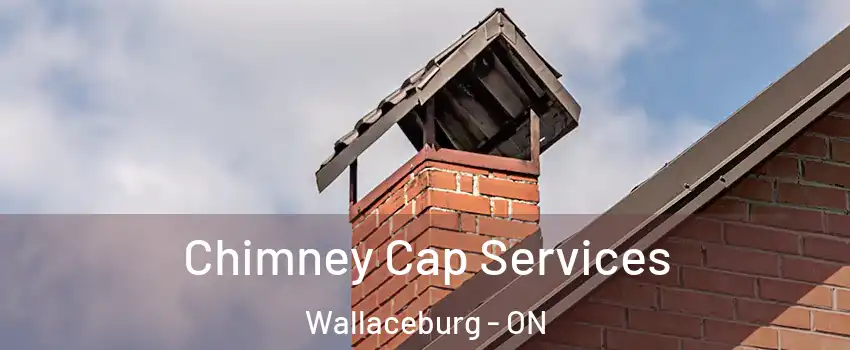  Chimney Cap Services Wallaceburg - ON